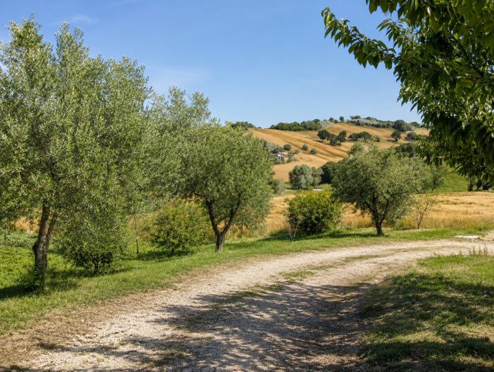 immagine annuncio 7 di 9