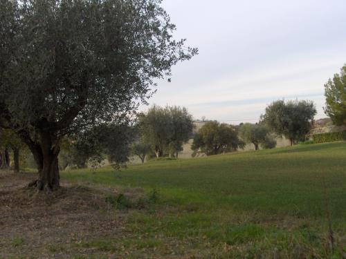 casale / rustico 